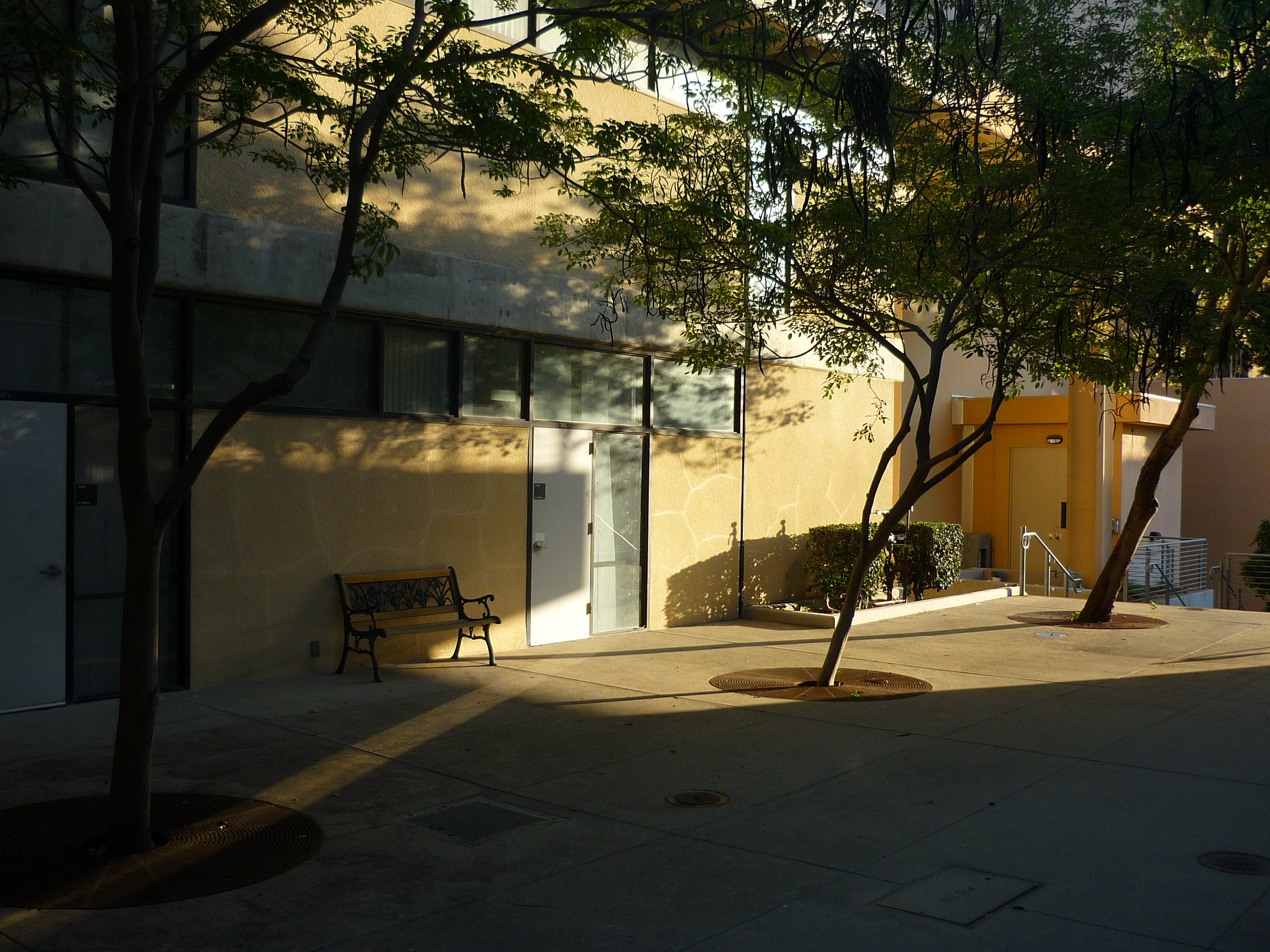 photograph of bench
